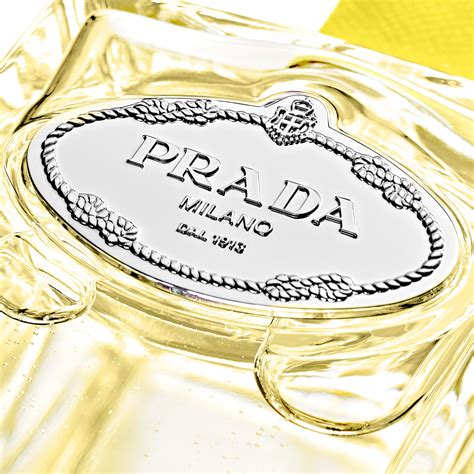 infusion ylang prada|Prada infusion d'ylang.